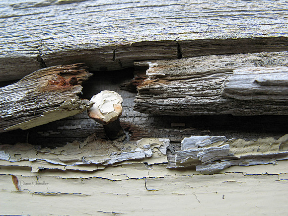 Weathered 1