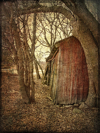 Winter's Survivor - The Old Shed