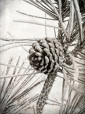 Pine Cone Frost