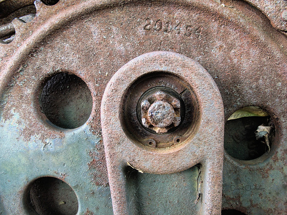 Chain Gear